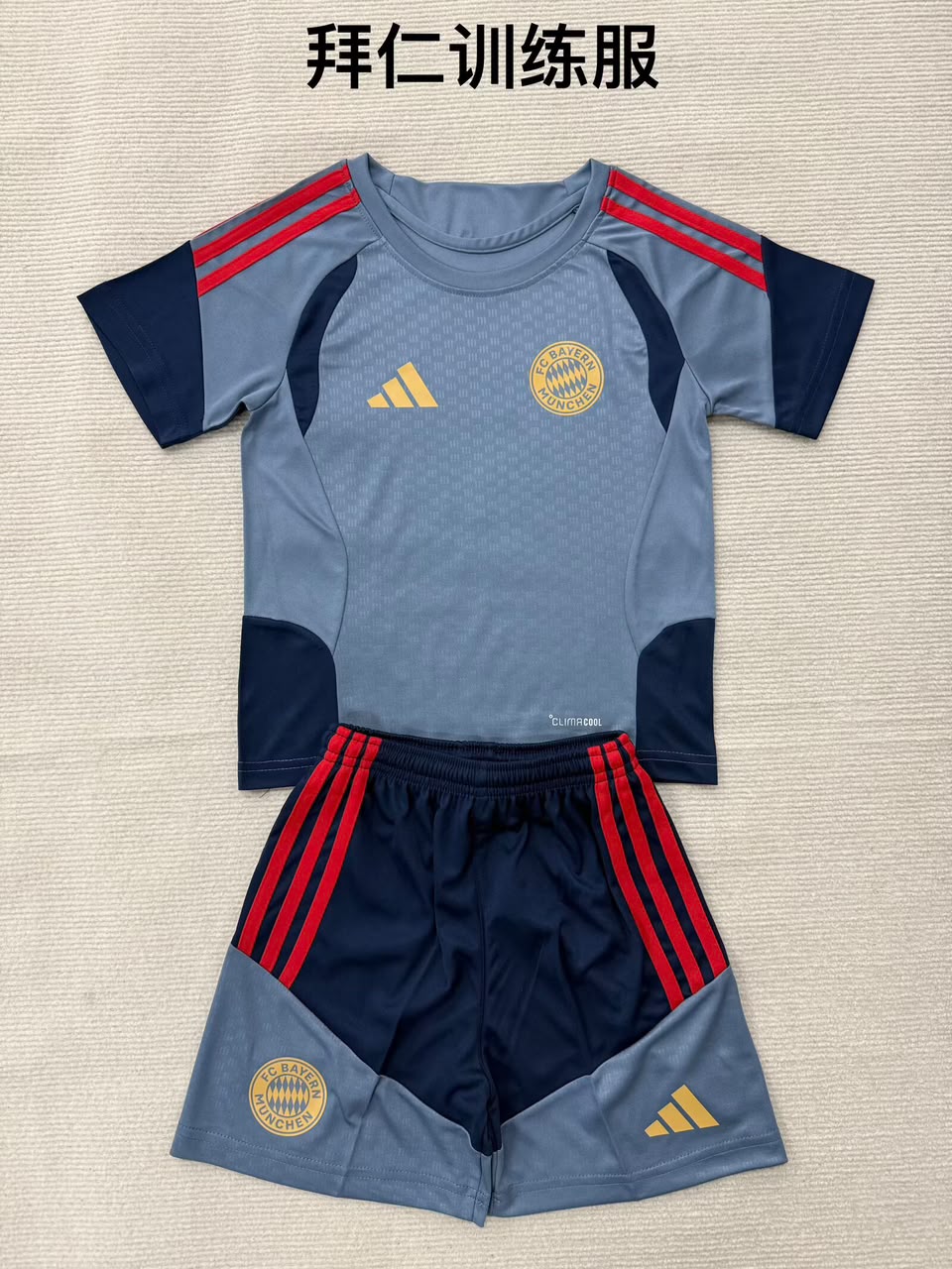 Bayern Munich Training football shirt